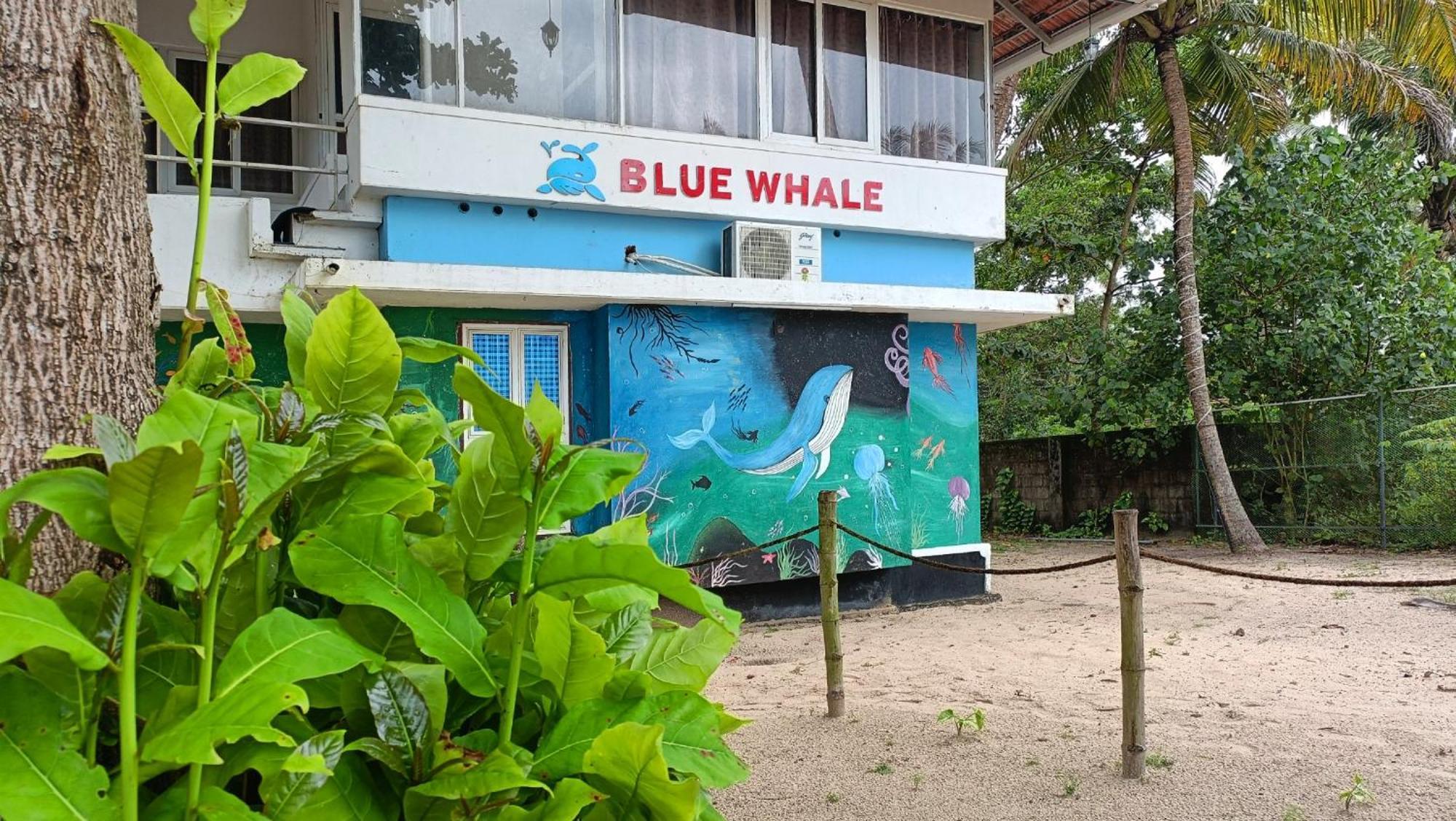Marari Blue Whale Beach House Alappuzha Exterior photo